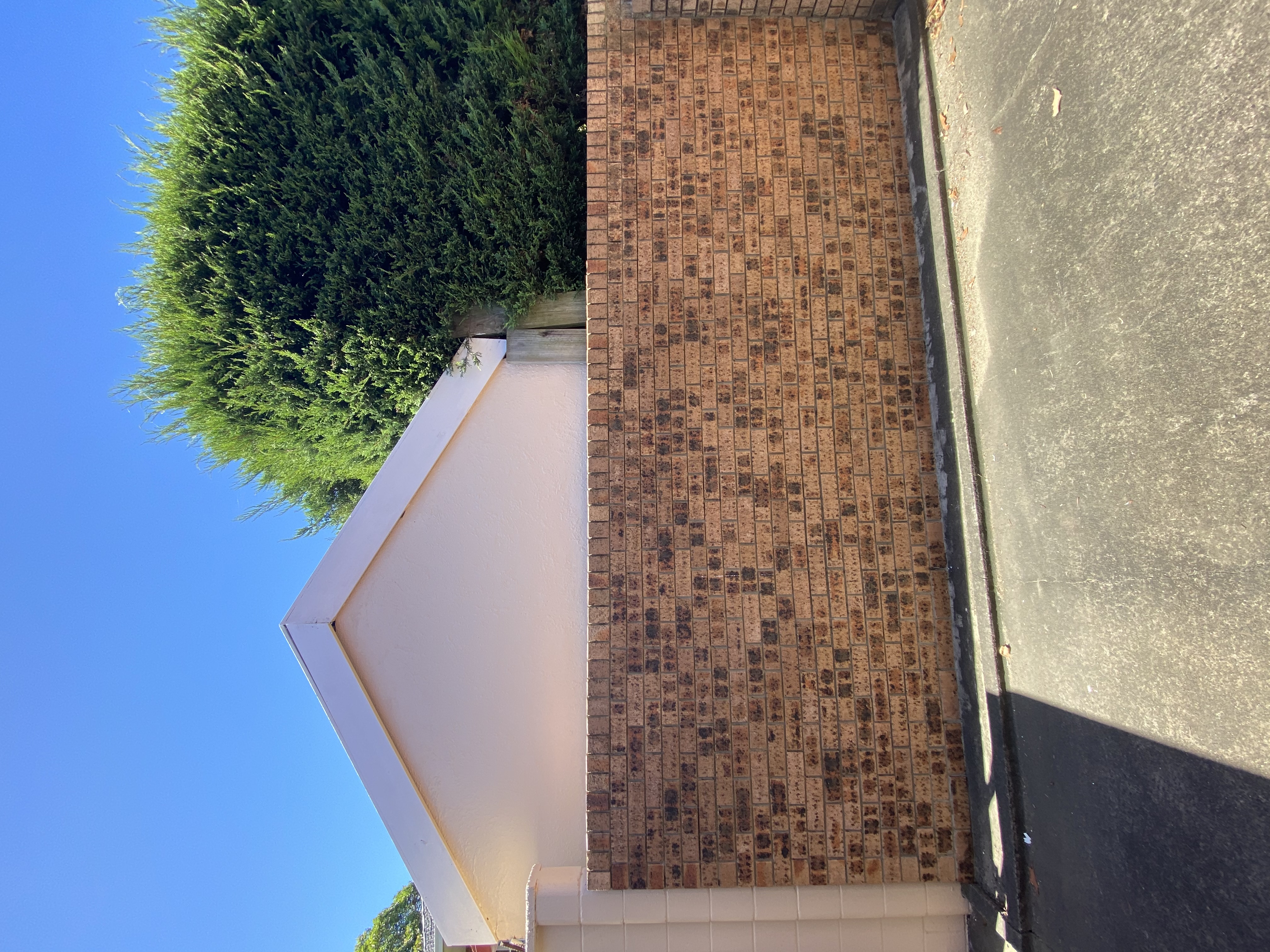 Exterior Pink House — photo 1