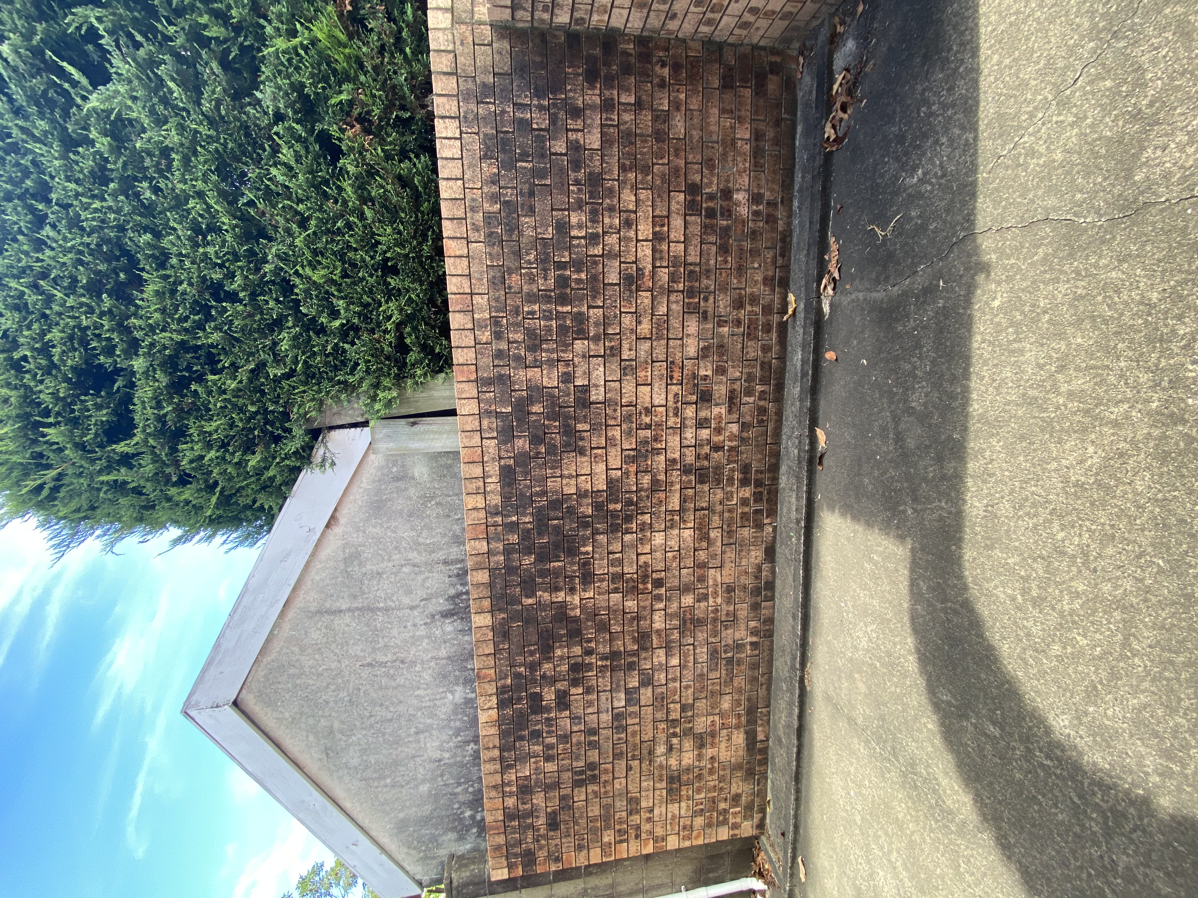 Exterior Pink House — photo 8
